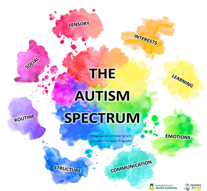 The Autism Spectrum 