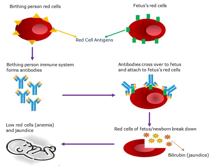 Antigens